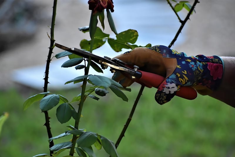 Glowing Pruners