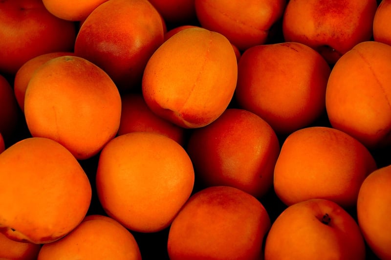 Magic Harvest Bounty